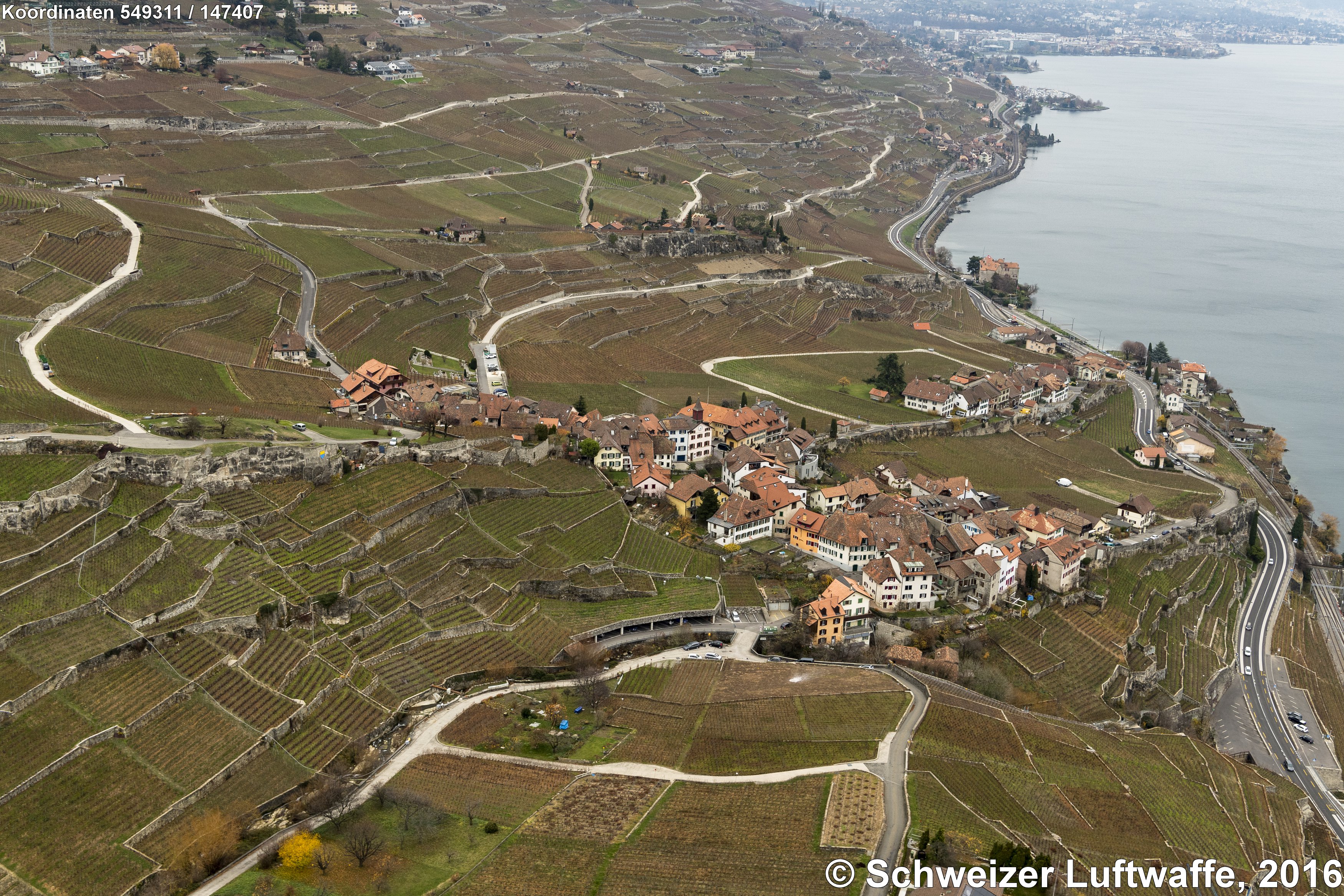 Lavaux: Dorf Rivaz am Chebrex (Position 2'549'293.15, 1'147'473.65) von NW her mit Strassensiedlung 'Sallaz' Richtung Lac Léman.