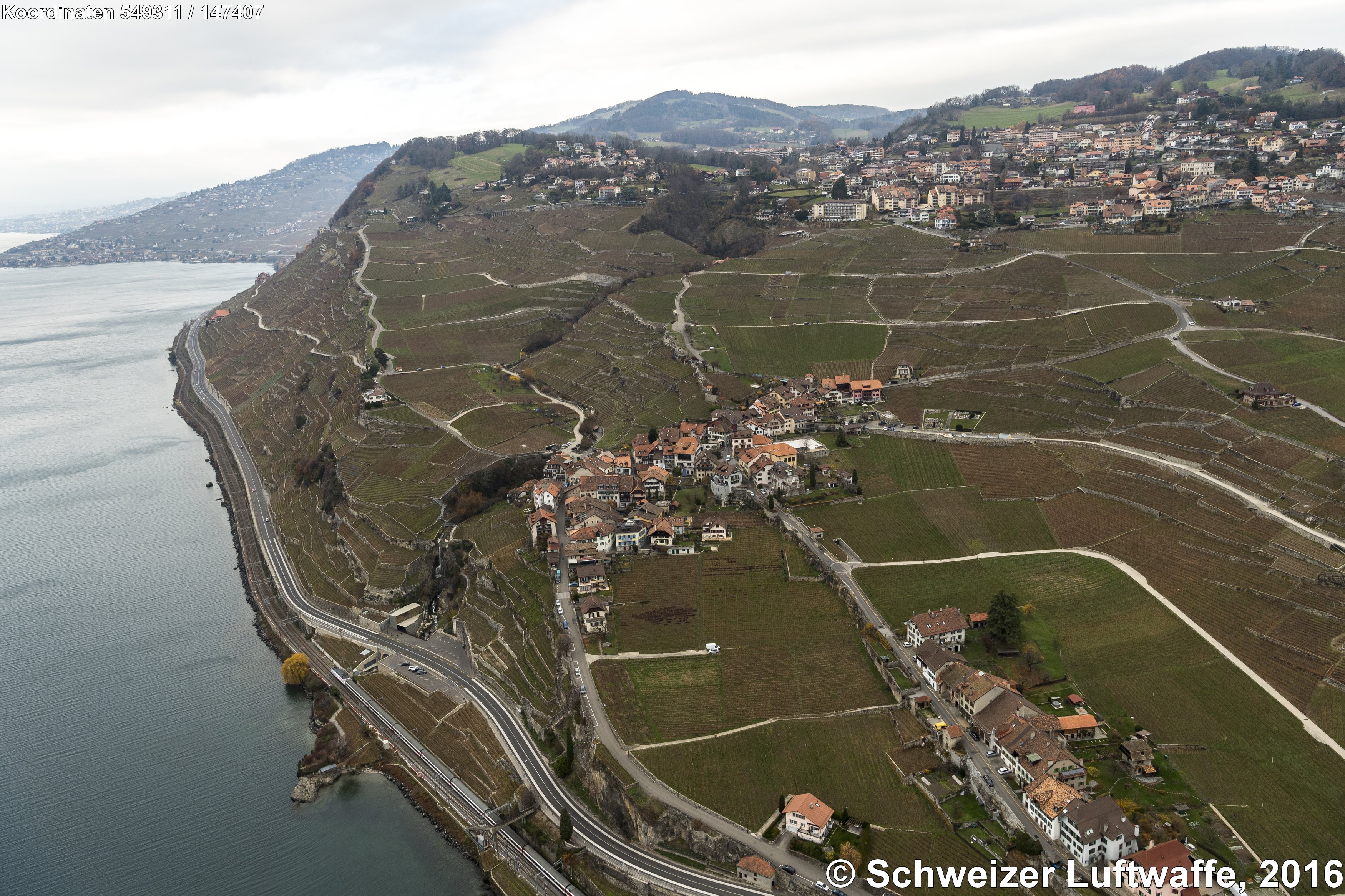 Lavaux: Dorf Rivaz am Chebrex (Position 2'549'293.15, 1'147'473.65) in der Bildmitte. Unten im Bild: Strassensiedlung 'Sallaz'. Grosses Dorf oben rechts: Chebrex. Links auf der Anhöhe: Puidoux