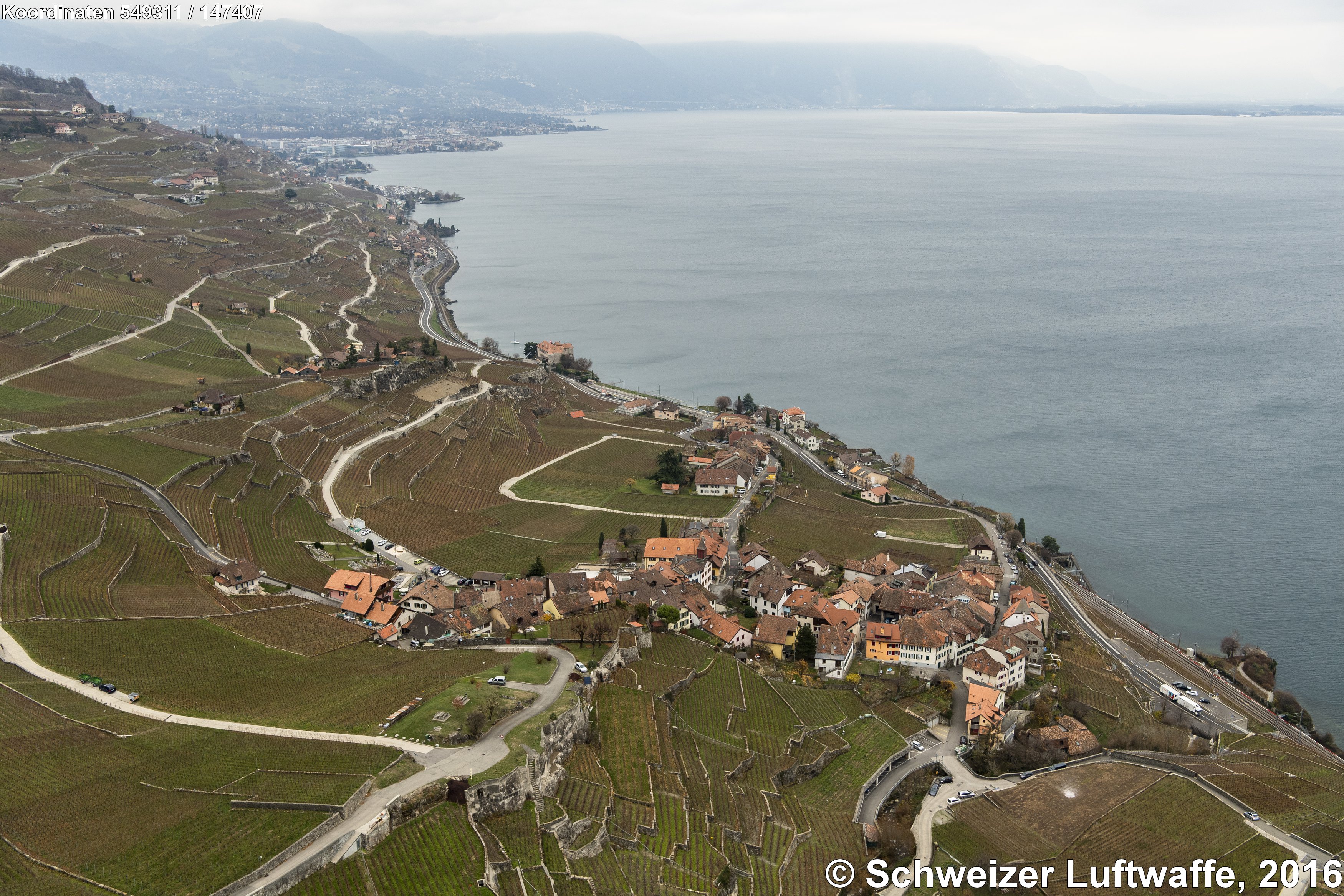 Lavaux: Dorf Rivaz am Chebrex (Position 2'549'293.15, 1'147'473.65) im Bildzentrum. Blick Richtung SE nach Vevey, La Tour-de-Peilz, Clarens, Montreux.